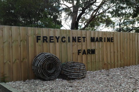 Active Day Tour One-Way From Launceston To Hobart Via Wineglass Bay - Accommodation Brunswick Heads 3