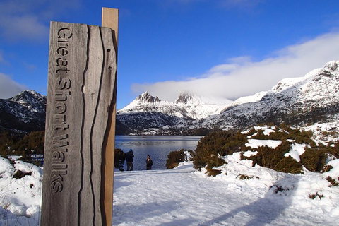 Cradle Mountain Active Day Trip From Launceston - Accommodation Brunswick Heads 3
