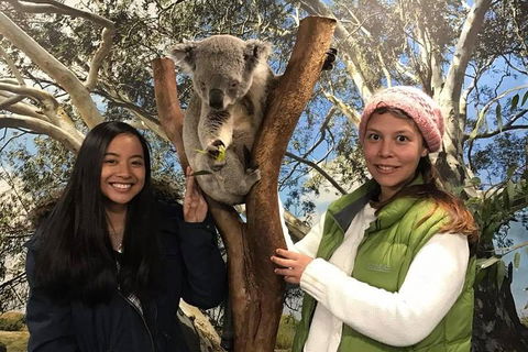 Australia Multi-City Attractions Pass - Accommodation Brunswick Heads 3