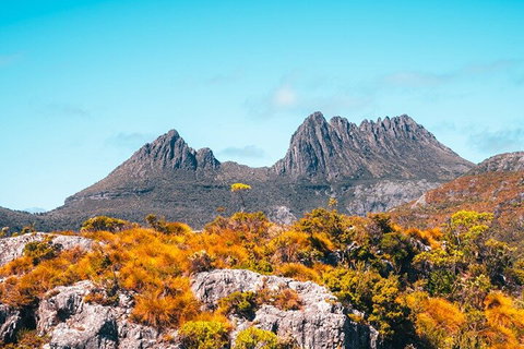 Cradle Mountain National Park Day Tour From Launceston - Accommodation Brunswick Heads 1