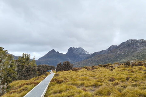 Cradle Mountain National Park Day Tour From Launceston - Accommodation Brunswick Heads 2