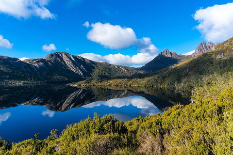 Cradle Mountain National Park Day Tour From Launceston - Accommodation Brunswick Heads 3