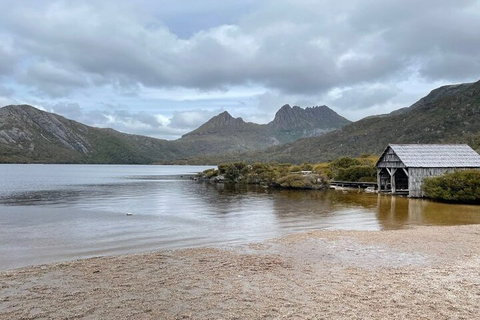 Cradle Mountain National Park Day Tour From Launceston - Accommodation Brunswick Heads 4
