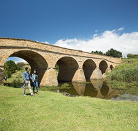 Bonorong Wildlife Park and Richmond Afternoon Tour from Hobart - Accommodation Brunswick Heads