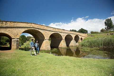 Bonorong Wildlife Park And Richmond Afternoon Tour From Hobart - Accommodation Brunswick Heads 0