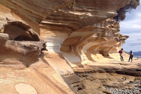 Hobart Minibus Full-Day Private Tour - Accommodation Brunswick Heads 0