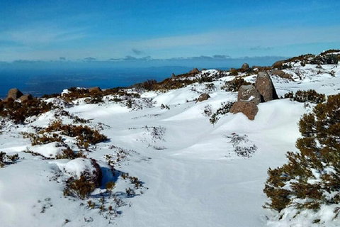 Mt Wellington Ultimate Experience Tour From Hobart - Accommodation Brunswick Heads 4