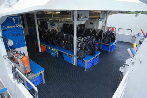 Silverswift Outer Great Barrier Reef Dive And Snorkel Cruise From Cairns - Accommodation Brunswick Heads 0