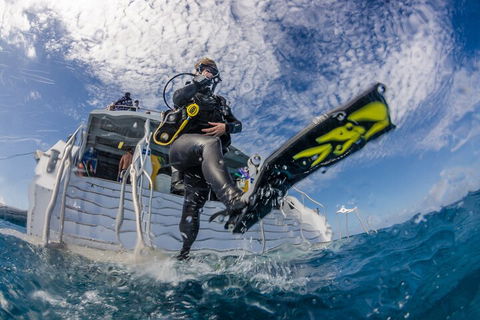 Silverswift Outer Great Barrier Reef Dive And Snorkel Cruise From Cairns - Accommodation Brunswick Heads 1