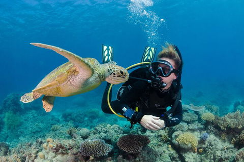Silverswift Outer Great Barrier Reef Dive And Snorkel Cruise From Cairns - Accommodation Brunswick Heads 2