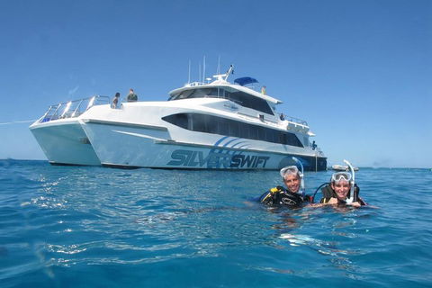 Silverswift Outer Great Barrier Reef Dive And Snorkel Cruise From Cairns - Accommodation Brunswick Heads 4
