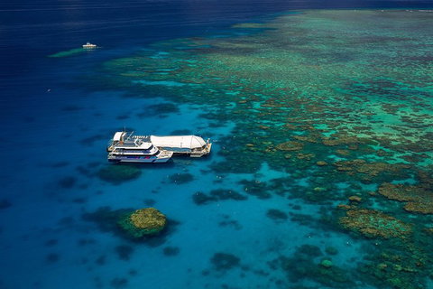 Great Barrier Reef Adventure From Cairns - Accommodation Brunswick Heads 4