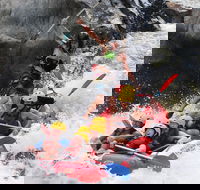 Barron Gorge National Park Half-Day White Water Rafting from Cairns or Port Douglas - Accommodation Brunswick Heads