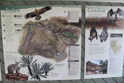 Jumping Crocodile Cruise And Berry Springs Nature Park - Accommodation Brunswick Heads 2