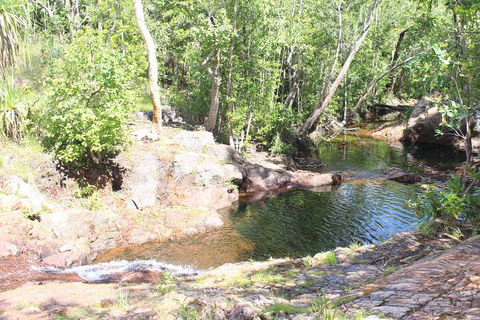 Jumping Crocodile Cruise And Berry Springs Nature Park - Accommodation Brunswick Heads 3