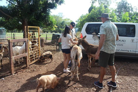 Jumping Crocodile Cruise And Berry Springs Nature Park - Accommodation Brunswick Heads 4
