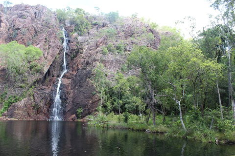 Jumping Crocodile Cruise And Berry Springs Nature Park - Accommodation Brunswick Heads 5