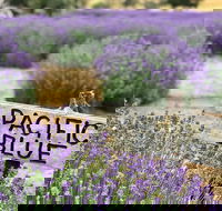 Kangaroo Island Food and Wine Trail Tour - Accommodation Brunswick Heads