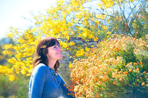 Best Of Perth Wildflower Season Day Trip - Accommodation Brunswick Heads 2