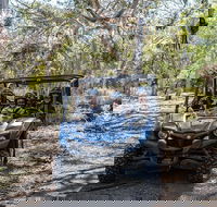 Small-Group Buggy Tour at Little Sahara with Guide - Accommodation Brunswick Heads