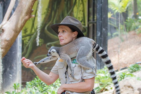 Currumbin Wildlife Sanctuary General Entry Ticket - Accommodation Brunswick Heads 1
