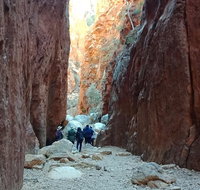 West MacDonnell Private Tour with Transfer - Accommodation Brunswick Heads