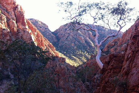 West MacDonnell Private Tour With Transfer - Accommodation Brunswick Heads 3