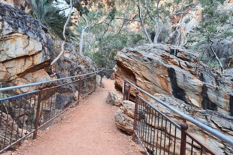 West MacDonnell Ranges Half - Day Tour - Accommodation Brunswick Heads 0