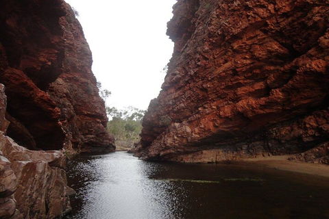 West MacDonnell Ranges Half - Day Tour - Accommodation Brunswick Heads 4