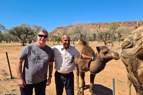 West MacDonnell Ranges Half-Day Small-Group Tour With Camel Ride - Accommodation Brunswick Heads 1