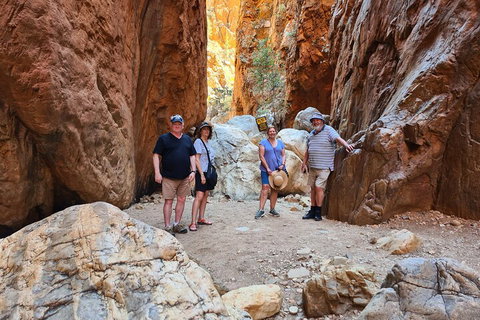 West MacDonnell Ranges Half-Day Small-Group Tour With Camel Ride - Accommodation Brunswick Heads 4