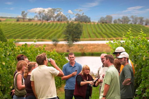 Yarra Valley Wine And Winery Tour From Melbourne - Accommodation Brunswick Heads 0
