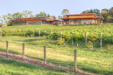Yarra Valley Wine And Winery Tour From Melbourne - Accommodation Brunswick Heads 1