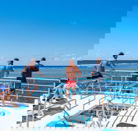 Calypso Outer Great Barrier Reef Cruise from Port Douglas - Accommodation Brunswick Heads