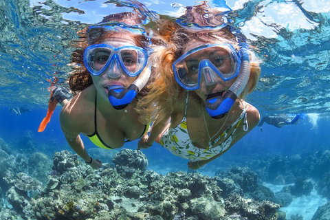 Great Barrier Reef Snorkeling And Diving Cruise From Cairns - Accommodation Brunswick Heads 3