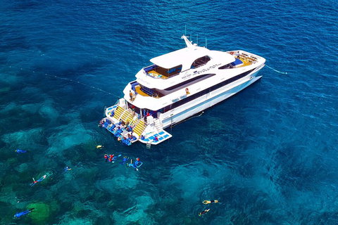 Great Barrier Reef Snorkeling And Diving Cruise From Cairns - Accommodation Brunswick Heads 5