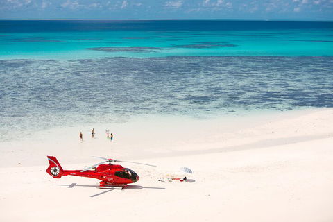 Private Helicopter Tour: Reef Island Snorkeling And Gourmet Picnic Lunch - Accommodation Brunswick Heads 2
