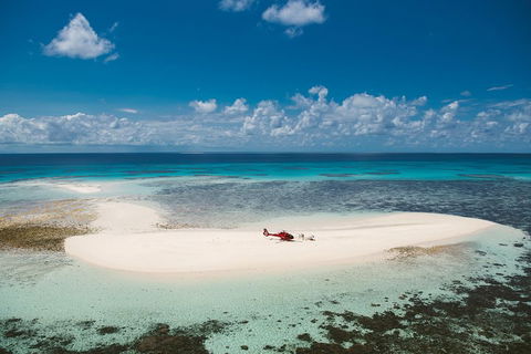 Private Helicopter Tour: Reef Island Snorkeling And Gourmet Picnic Lunch - Accommodation Brunswick Heads 4