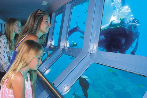 Helicopter And Cruise Packages From Port Douglas - Accommodation Brunswick Heads 0