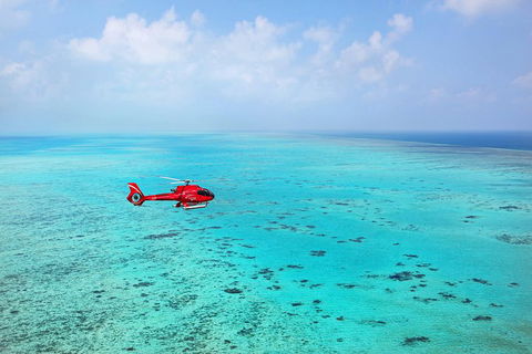Helicopter And Cruise Packages From Port Douglas - Accommodation Brunswick Heads 1