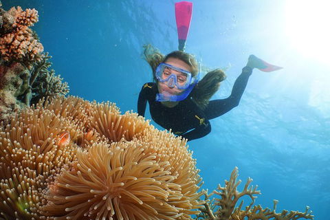 Helicopter And Cruise Packages From Port Douglas - Accommodation Brunswick Heads 3