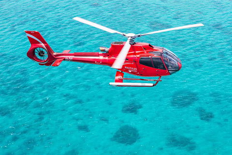 Helicopter And Cruise Packages From Port Douglas - Accommodation Brunswick Heads 5