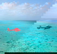 Port Douglas Scenic Flights - Accommodation Brunswick Heads