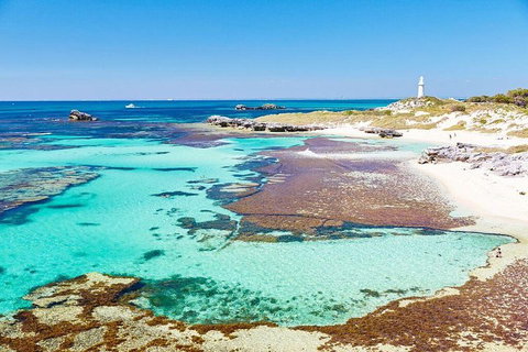 Fremantle To Rottnest Island Roundtrip Ferry Ticket - Accommodation Brunswick Heads 2