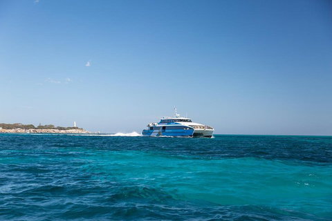Fremantle To Rottnest Island Roundtrip Ferry Ticket - Accommodation Brunswick Heads 5