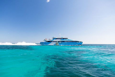 Rottnest Island All-Inclusive Grand Island Tour From Fremantle - Accommodation Brunswick Heads 0