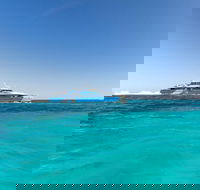 Rottnest Island Bayseeker Day Trip from Perth - Accommodation Brunswick Heads