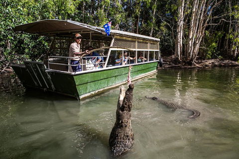 Hartley's Crocodile Adventures Day Trip From Palm Cove - Accommodation Brunswick Heads 2