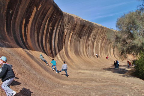 Wave Rock Half Day Air & Ground Tour - Accommodation Brunswick Heads 2