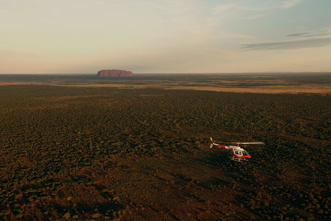 Helicopter Scenic: Lizard Safari - Accommodation Brunswick Heads 4